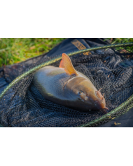 Guru Duel 600 Specimen Net