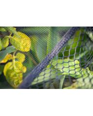 Guru Duel 600 Specimen Net