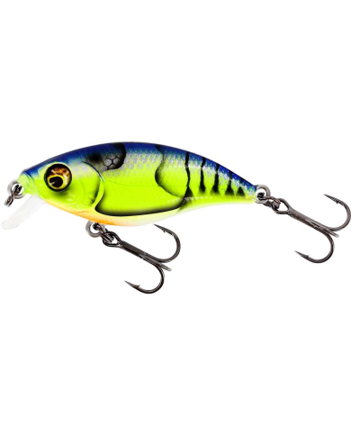 Westin BuzzBite SR Crankbait Low Floating 4cm