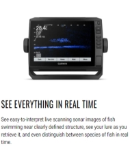 Garmin Panoptix LiveScope™ System