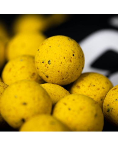 Mainline - Essential Cell - 1kg Shelf Life