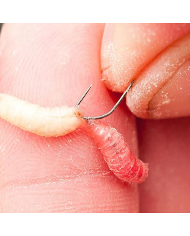 Guru F1 Maggot Hooks