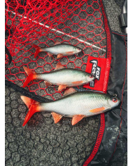 Fox Rage Ultra Naturals Replicant Roach