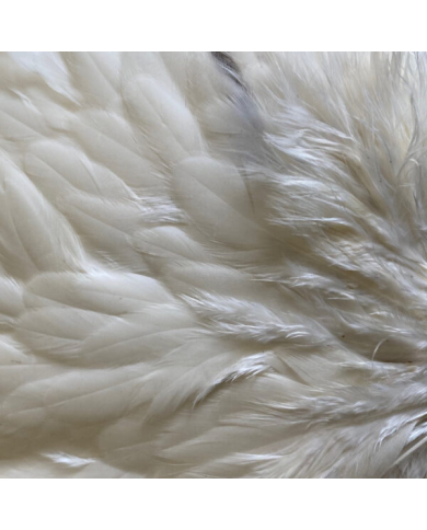 Veniard Genetic Hen Saddles