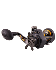 PENN Fathom II SD Star Drag Multiplier