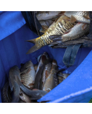 Preston Innovations Heavy Duty Fishing Weigh Bag