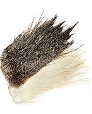 Veniard Genetic Saddle Grade 2