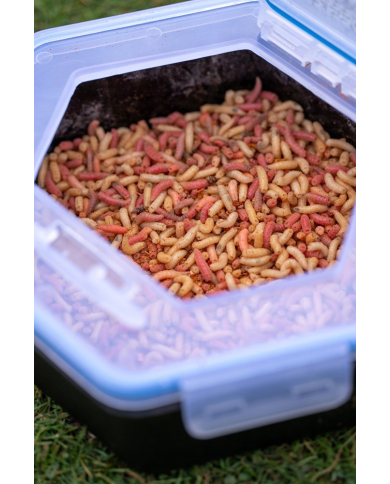 Zebco Secure Lock Bait Boxes