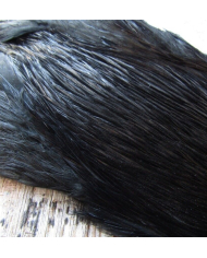 Irish Fly Supplies - Domestic Cock Necks