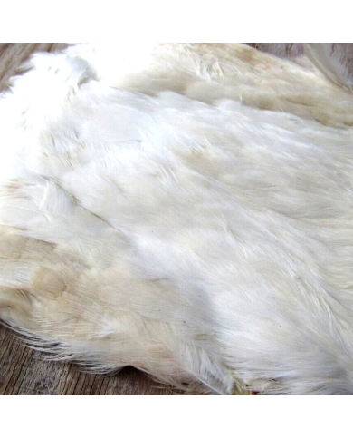 Irish Fly Supplies - Domestic Hen Neck Feathers