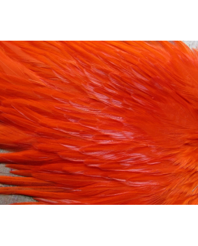 Irish Fly Supplies - Domestic Cock Saddles