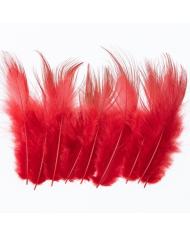 Golden Pheasant Body Feather Substitute