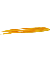 Veniard Turkey Biots - Sulphur Orange