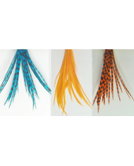 Bann Valley Metz Hackles Large