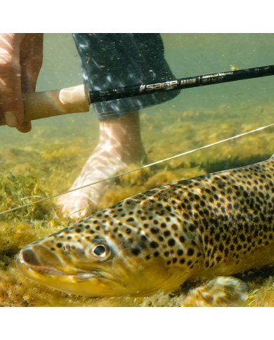 Sage Arrow Fly Rods