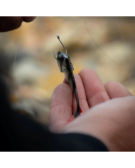 Fox Rage Ultra Natural Perch Fillets