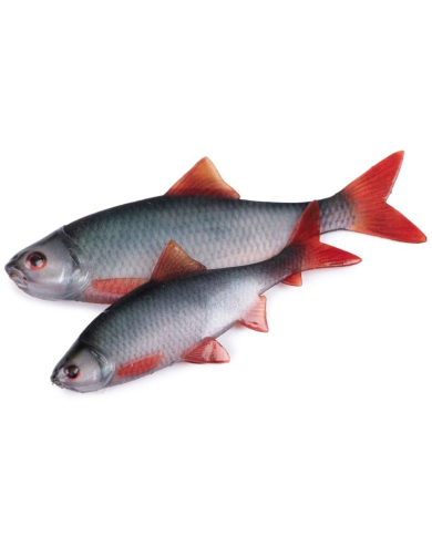 Fox Rage Ultra Natural Roach Fillets