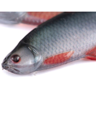 Fox Rage Ultra Natural Roach Fillets
