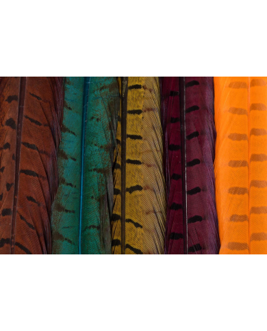 Veniard Cock Pheasant Center Tails
