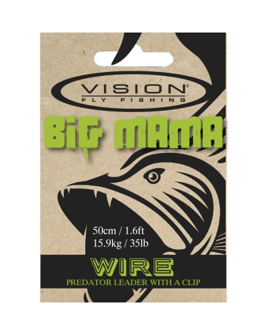 Vision Big Mama Leaders